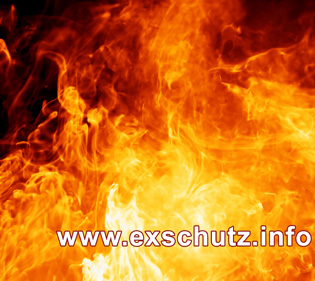 exschutzinfo_klein.jpg
